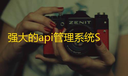 暗区突围加速破解强大的api管理系统Storm Core API_V1.1免授权源码分享